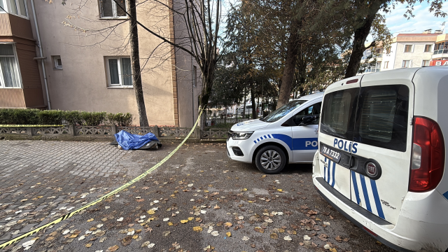 Foreign national university student found dead on the road