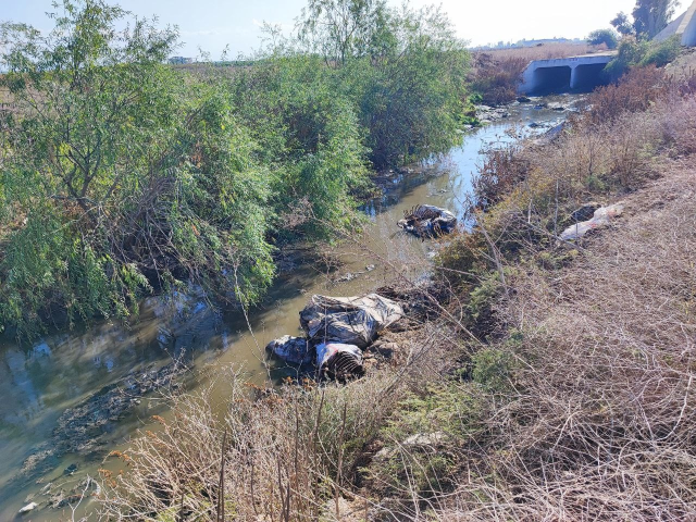 Horse and donkey remains thrown into the stream in Adana again: Neighborhood residents reacted