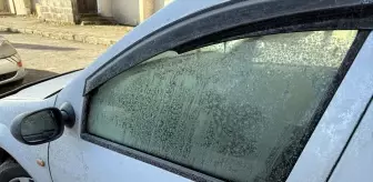 Ardahan'da soğuk hava etkili oluyor