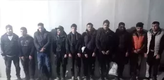 Edirne'de 20 düzensiz göçmen yakalandı