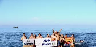 Giresun'da 'Sağlığa Kulaç At' etkinliğine katılanlar denizde yüzdü