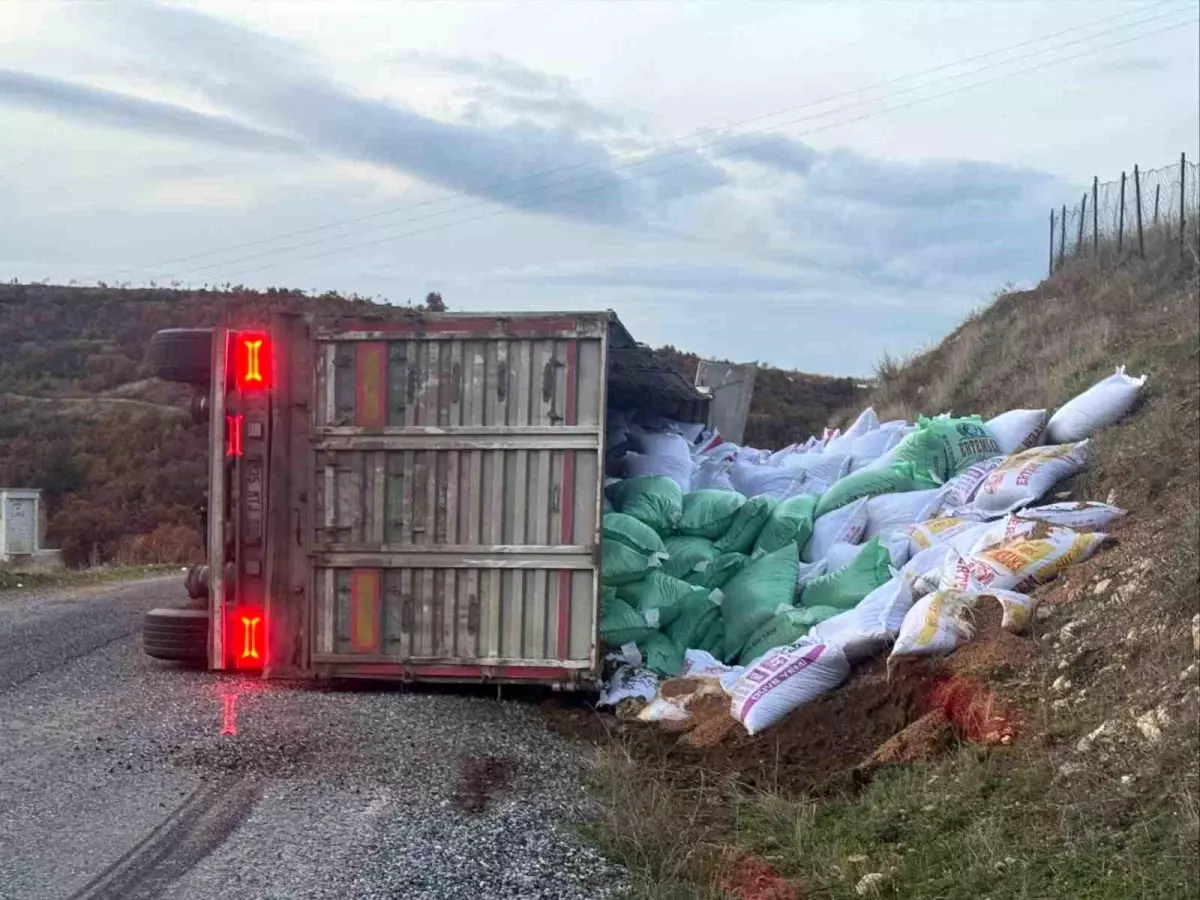 Gördes'te yem yüklü tır devrildi: 1 yaralı