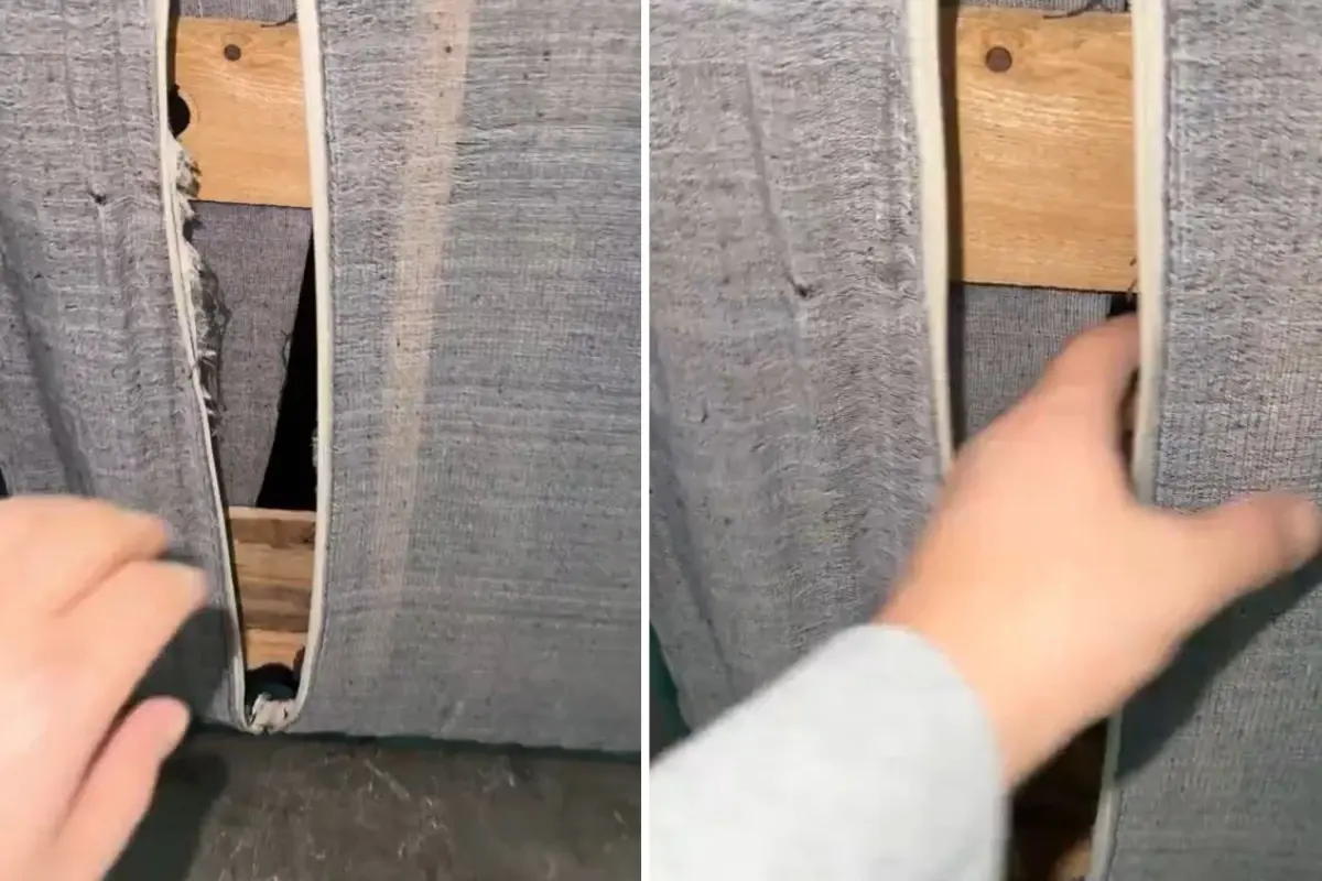 İçerisinden ses gelen koltuğun bezini kesince dondu kaldı: Hayatımın şokunu yaşıyorum