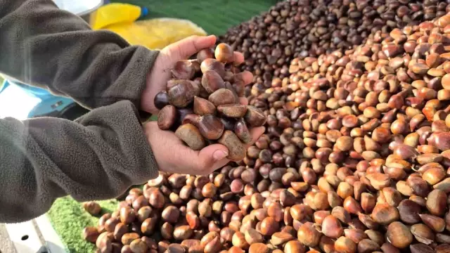 Selling for 175 lira per kilogram, 600 kilos a day! Its star has shone with the cold weather