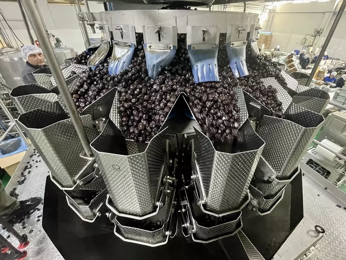 Marmarabirlik zeytinyağı tüketimini 'promosyon' ile artırmayı hedefliyor