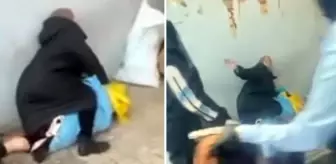 Sancaktepe'de yürek sızlatan görüntü! Zabıtalara 'Yeter' diye yalvardı