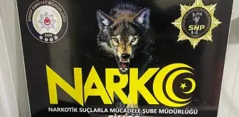 Sinop'ta uyuşturucu operasyonunda 6 kişi yakalandı