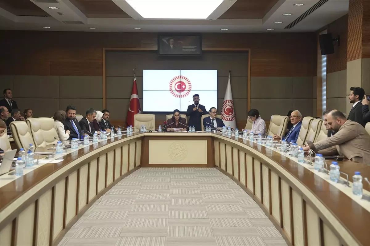 TBMM Engelli Bireylerin Sorunlarını Araştırma Komisyonu toplandı