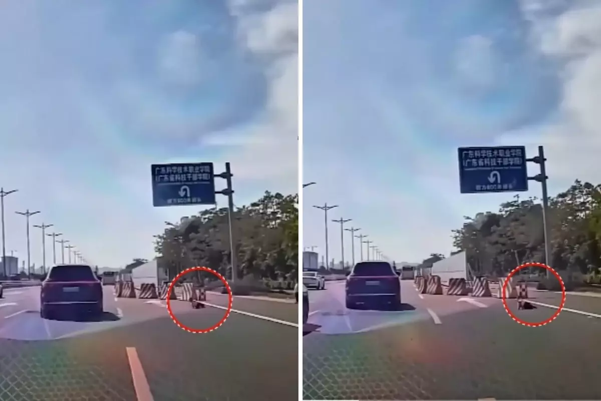 Yüreklerin ağızlara geldiği an! Küçük çocuk emekleyerek otobana çıktı