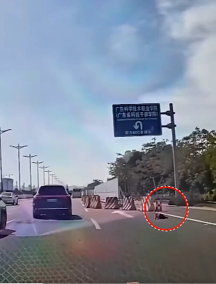 The moment that took our breath away! The little child crawled onto the highway