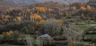 Atalarından miras kalan su değirmeninin çarklarını yarım asırdır döndürüyor