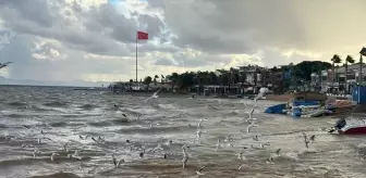 Aydın'da şiddetli yağış etkili oldu