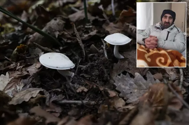 Warning from the man who was poisoned by the mushroom he bought at the market.