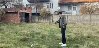 Eskişehir'de boş arazide şiddete uğradıkları değerlendirilen 8 kedi ölüsü bulundu