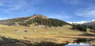 Gölyanı Yaylası ziyaretçilerini doğal güzellikleriyle karşılıyor