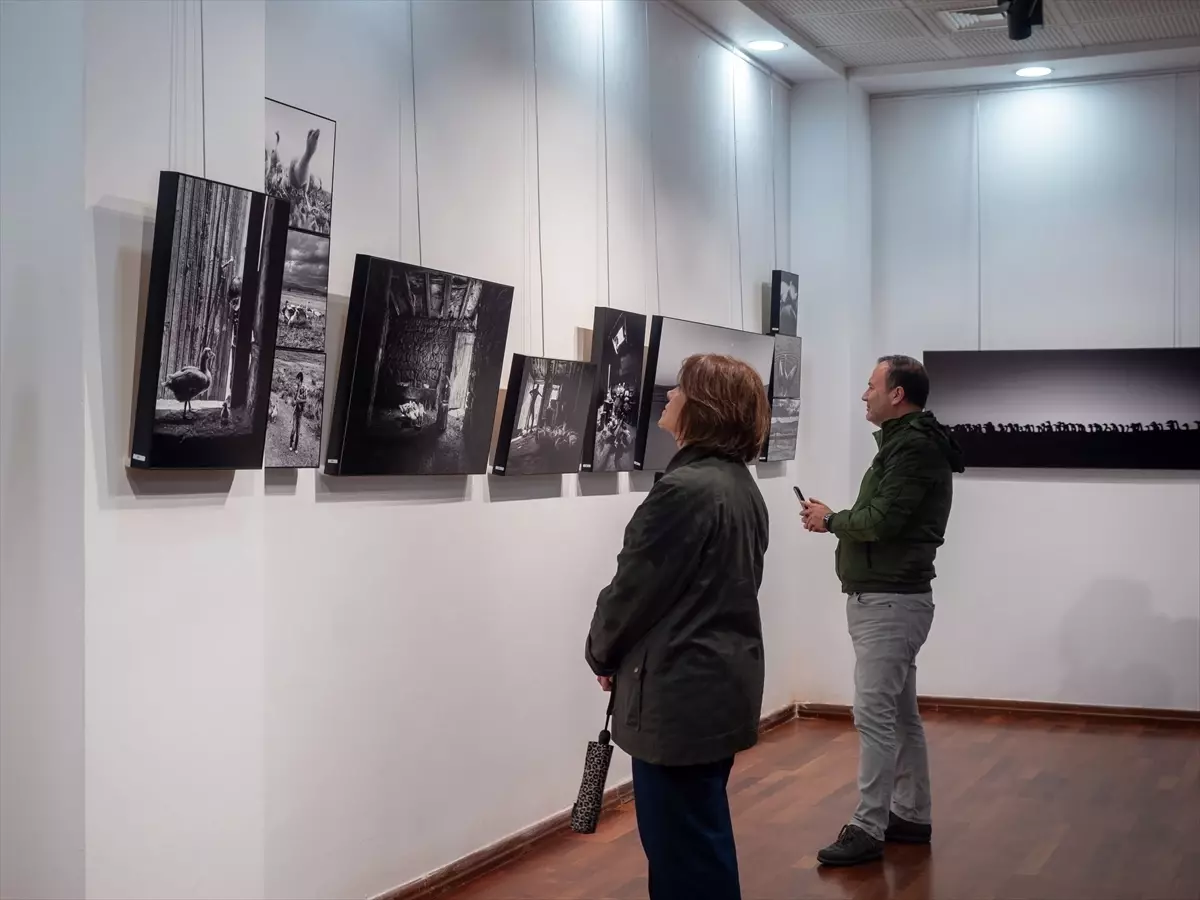 'Kazların Senfonisi' fotoğraf sergisi İzmir'de açıldı