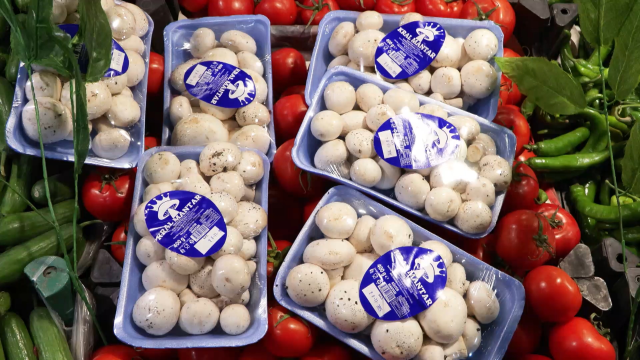 koy geciren olarak biliniyor 5 saat icinde 19327690 8693 m