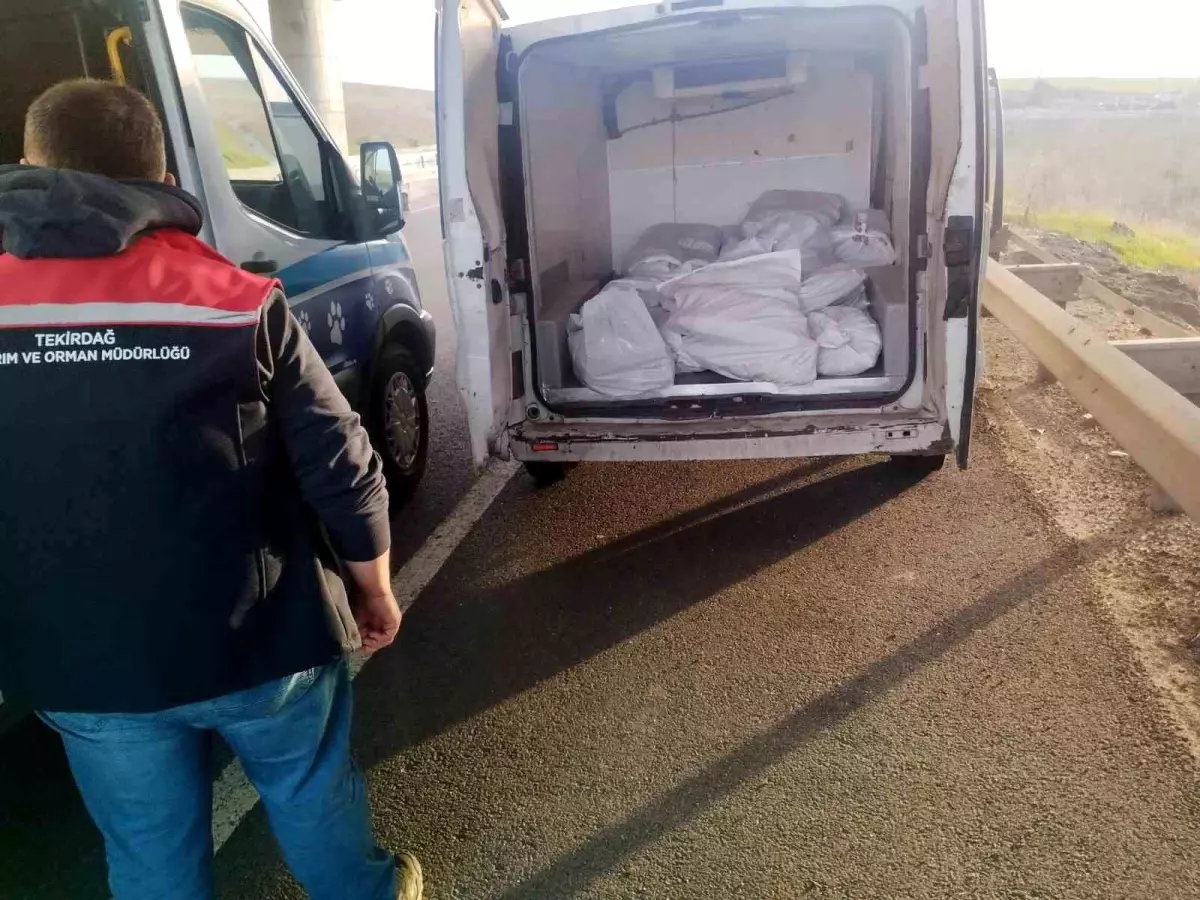 Tekirdağ'da 400 kilo menşei belirsiz kokoreç imha edildi