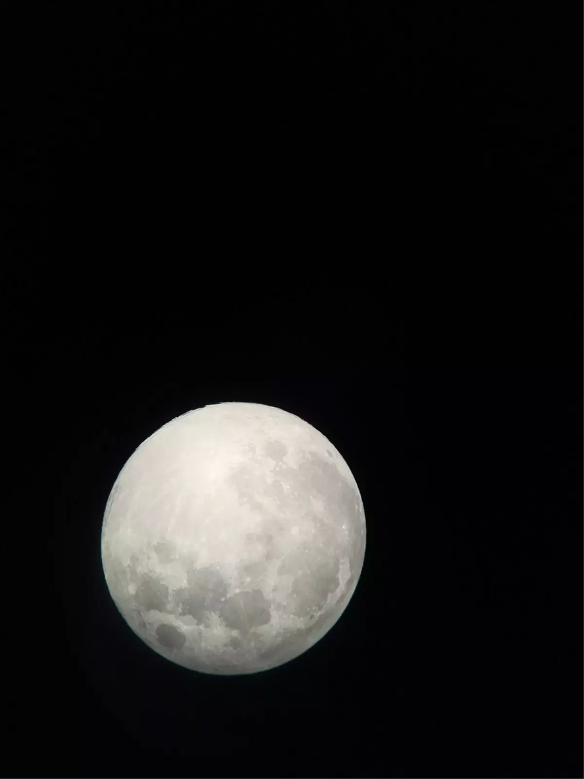 Trabzon'da öğrenciler dolunayı gözlemledi