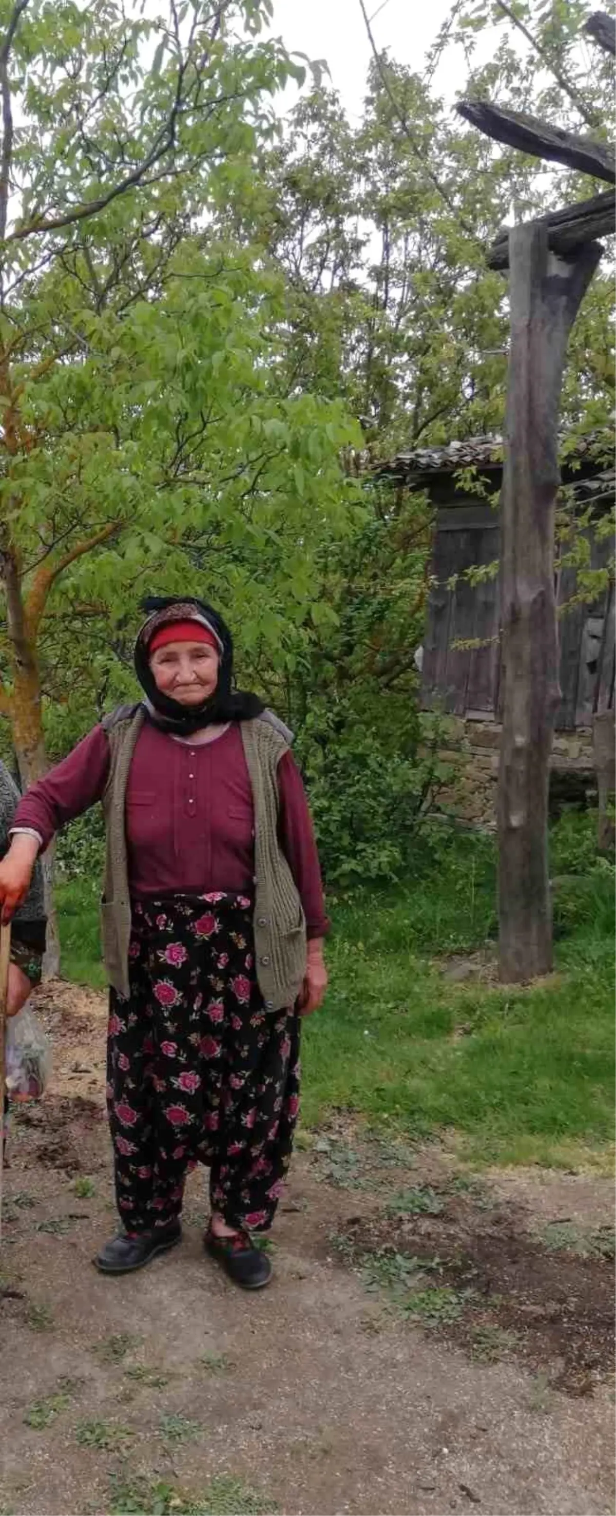 Çanakkale'de kaybolan Alzheimer hastası ölü bulundu