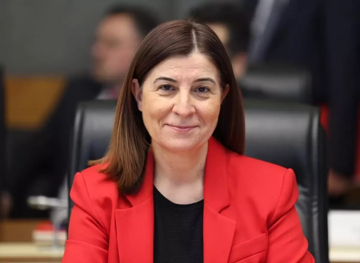 Edirne'de doğalgaz yatırımları sürüyor