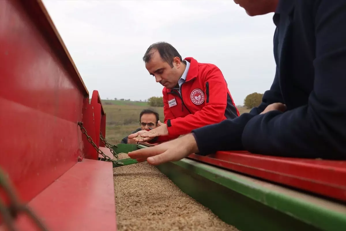Edirne'nin köylerinde suni mera alanları genişletiliyor