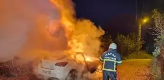 Hatay'da otomobilde çıkan yangın söndürüldü
