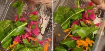 Pidecideki salatadan çıkan yok artık dedirtti