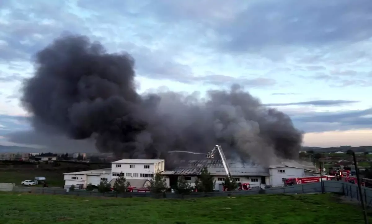 Tuzla'da kauçuk fabrikasında korkutan yangın