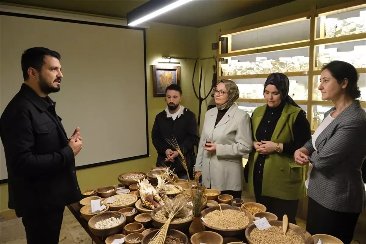 YÖK'ün 'Bilim Kafe' etkinliği, Mengen'deki Tohum Ambarı'nda yapıldı