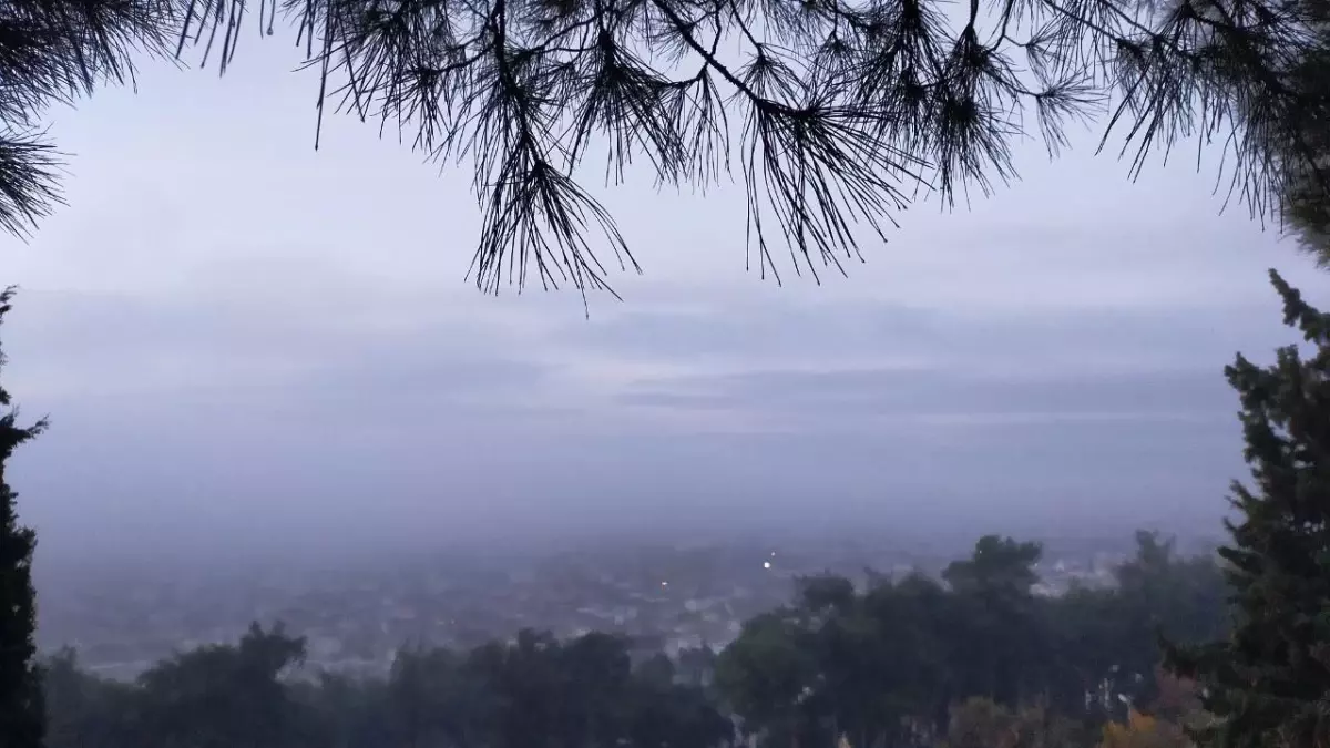 Aydın'da puslu sabah manzaraları mest etti