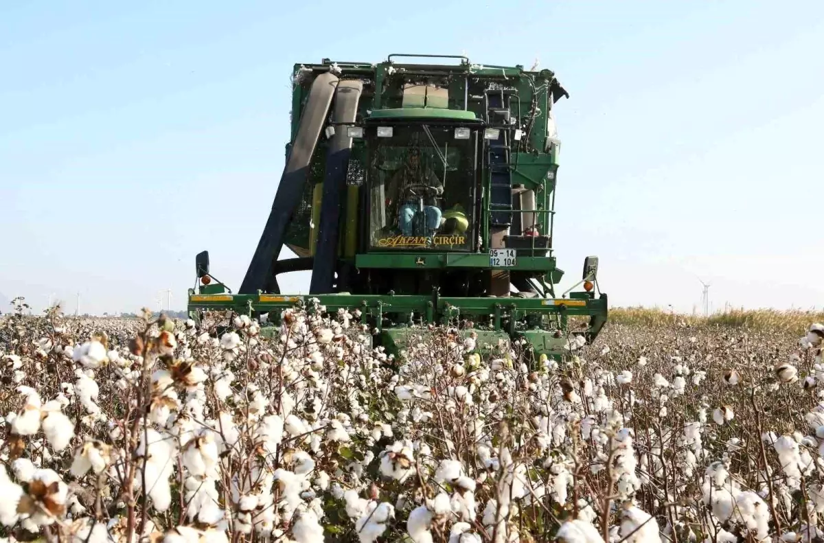 Aydın İl Tarım Müdürlüğü'nden üreticilere ÇKS hatırlatması