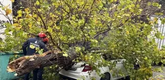 Beyoğlu'nda park halindeki aracın üzerine ağaç devrildi