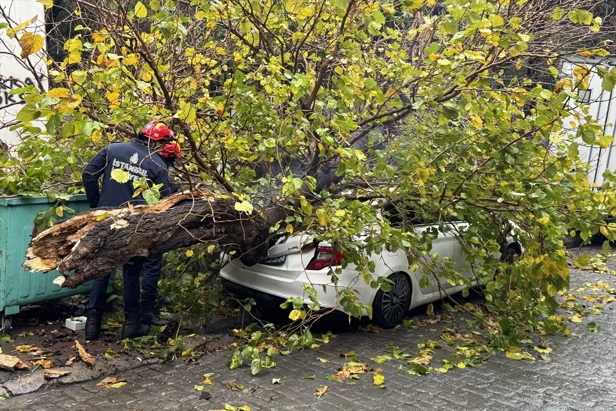 Beyoğlu'nda park halindeki aracın üzerine ağaç devrildi