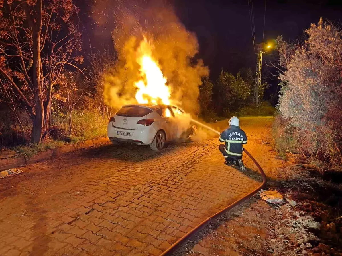 Defne'de otomobil alevlere teslim oldu