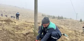 Kayseri'den kısa kısa