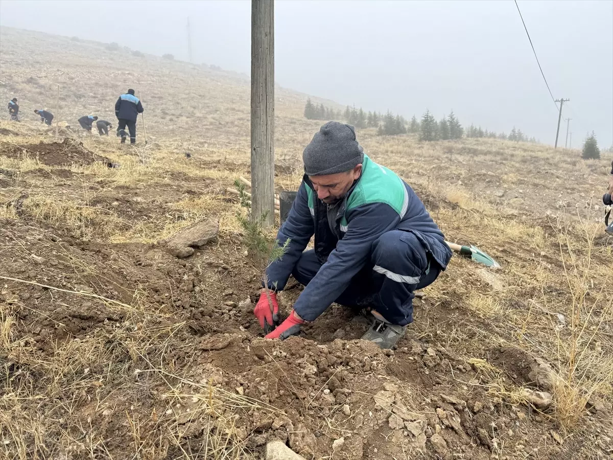 Kayseri'den kısa kısa