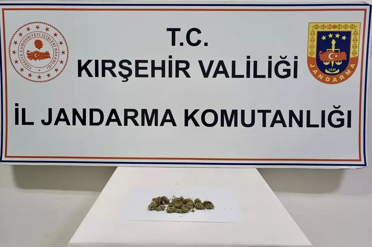 Kırşehir'de uyuşturucu operasyonunda 1 zanlı yakalandı