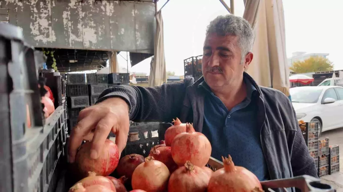 Kuraklık Zivzik narında verimi yarı yarıya düşürdü