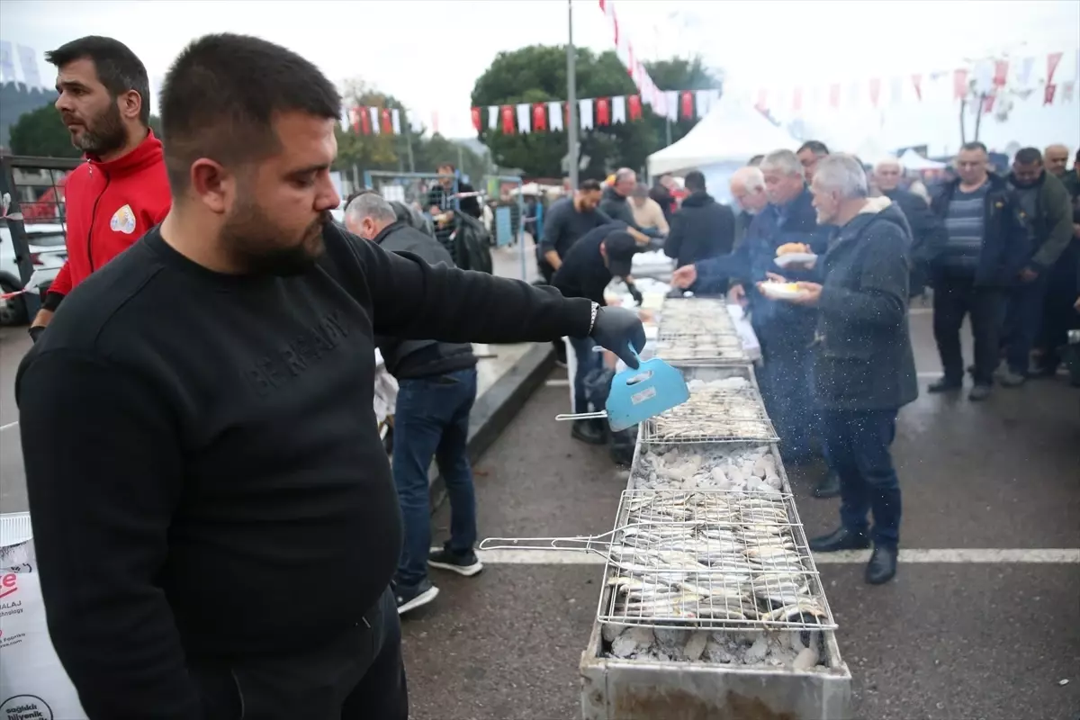 Ordu'da festivalde 7 ton hamsi tüketildi