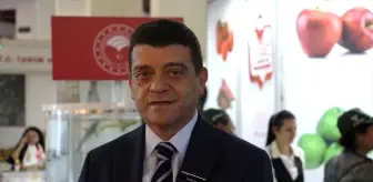 Türkiye'den yurt dışına sebzede en çok domates, salatalık ve biber tohumu gönderiliyor