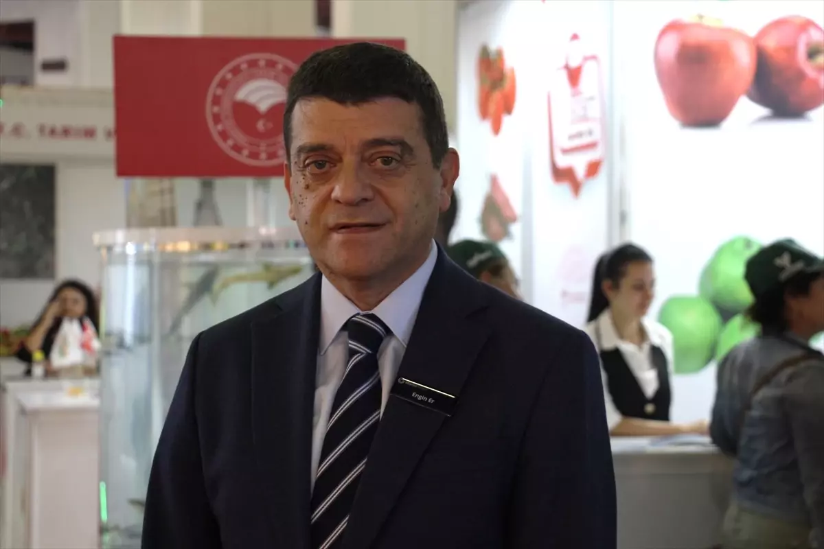 Türkiye'den yurt dışına sebzede en çok domates, salatalık ve biber tohumu gönderiliyor