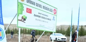 TUSAŞ şehidi Ekici anısına 500 fidan toprakla buluşturuldu