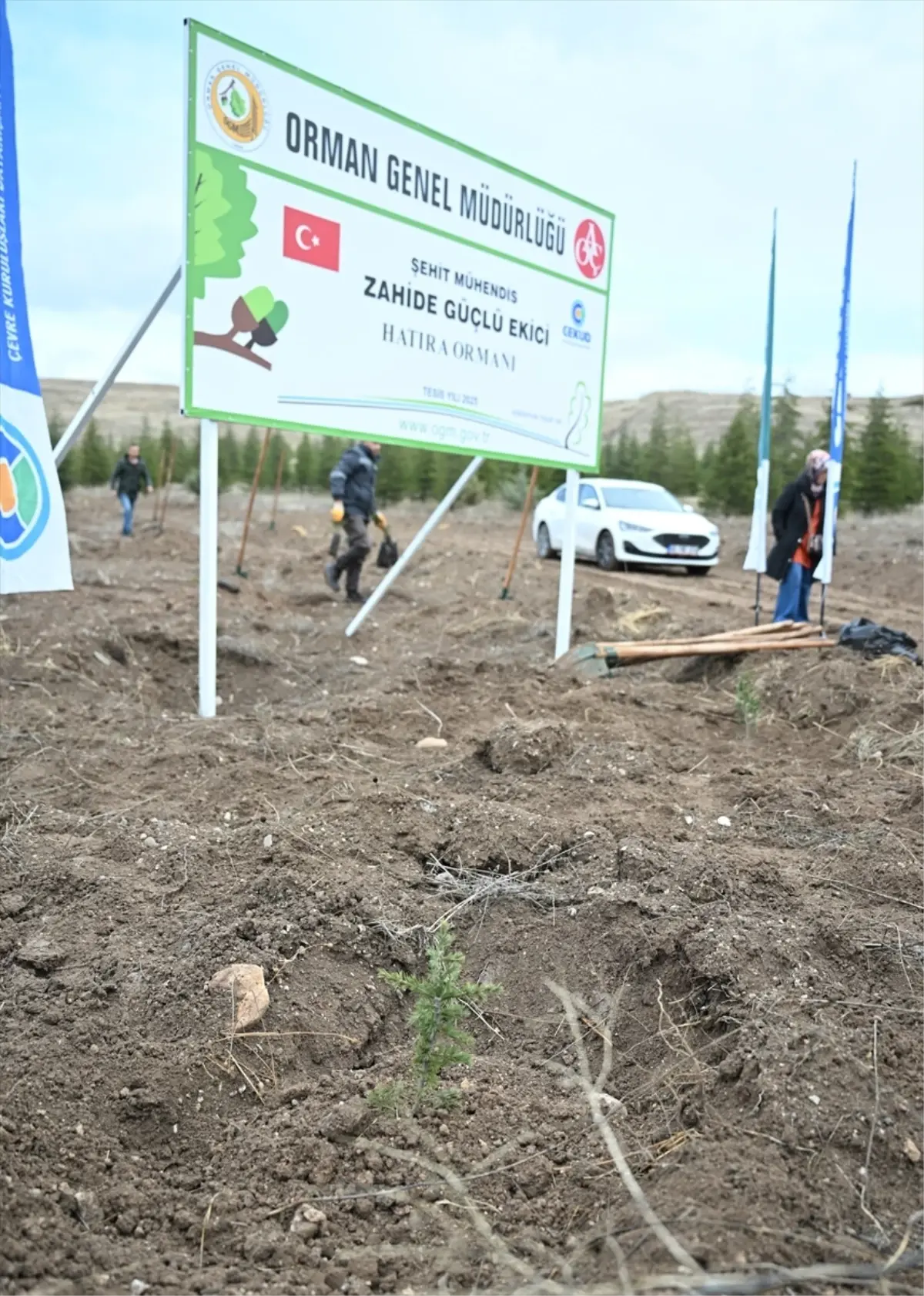 TUSAŞ şehidi Ekici anısına 500 fidan toprakla buluşturuldu