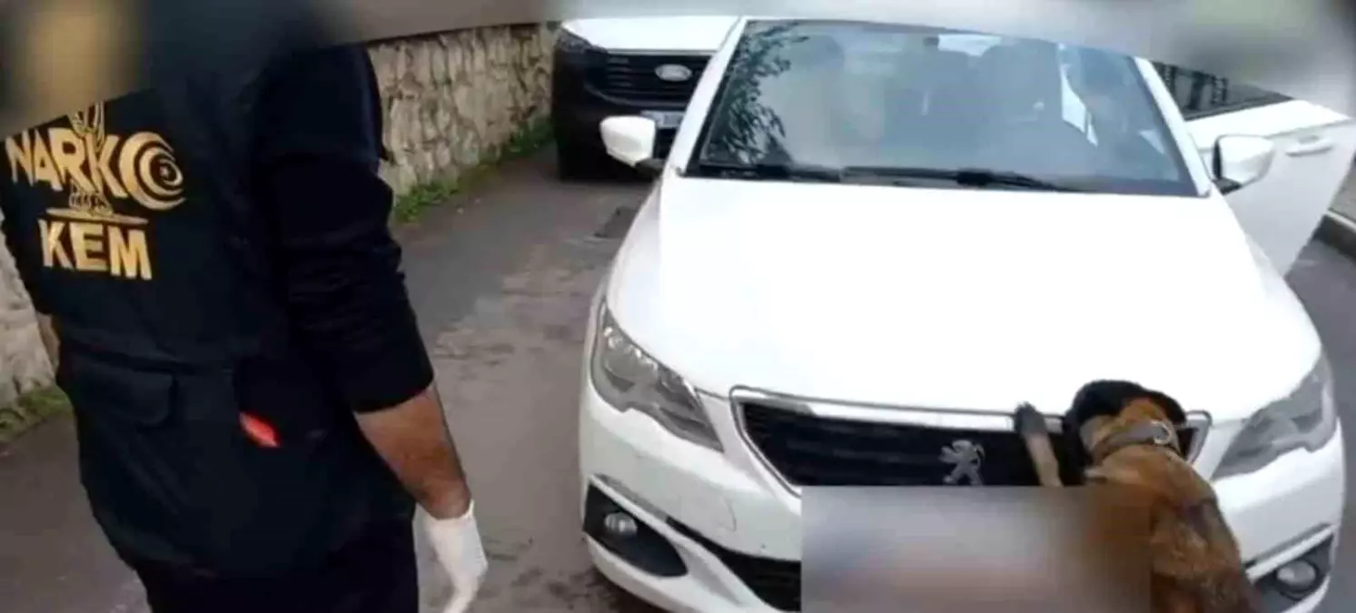 92 kilo bonzai hammaddesi taşıyan 2 şüpheli gözaltına alındı