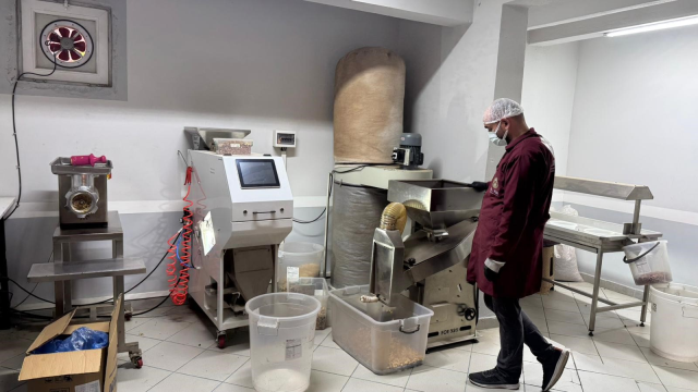 alapli da findik kavurma tesisleri taleplere 19332258 5321 m