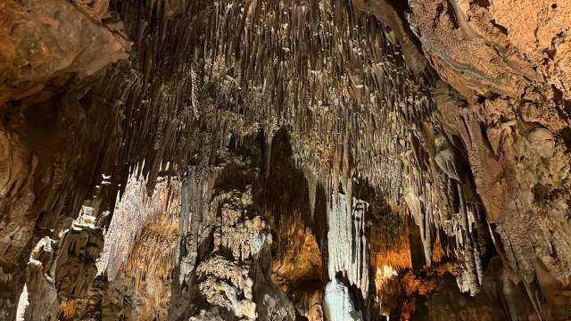 bu magarada 15 gun boyunca yarim saat kalan olum 19336648 2650 m