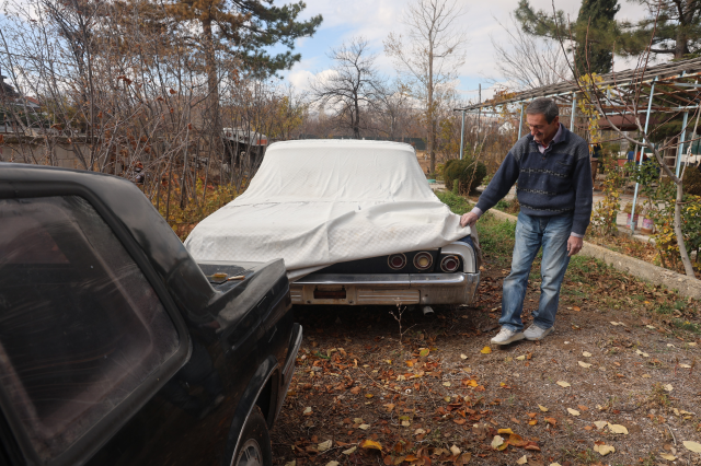 This greenhouse grows classic cars, not vegetables