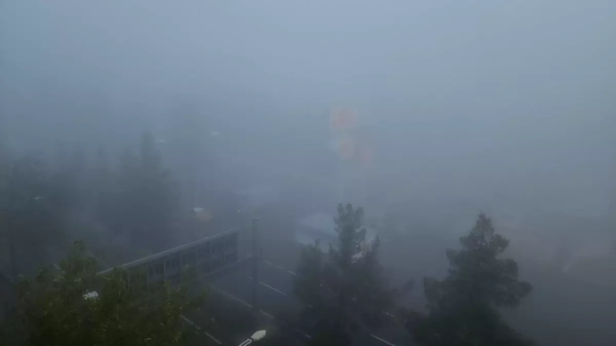 Diyabakır'da sis nedeniyle uçak seferleri aksadı