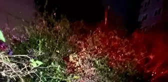 Mersin'de seyir halindeki taksi, devrilen ağacın altında kaldı